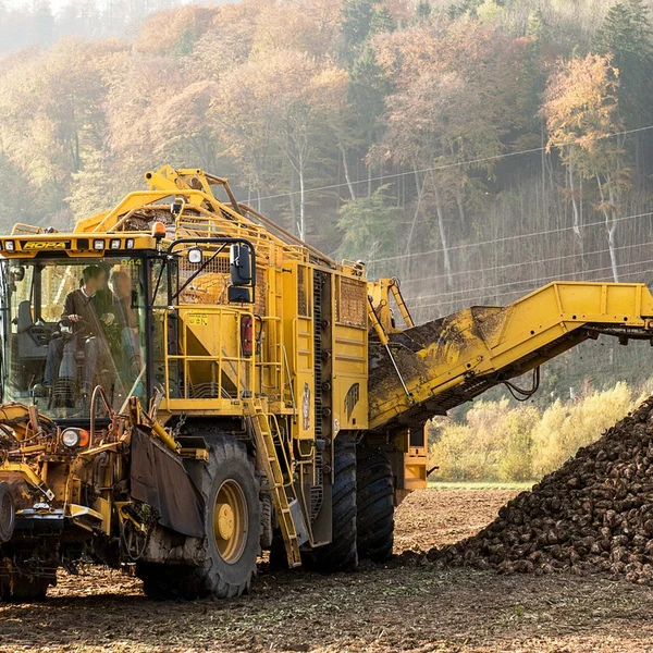 台球下注老虎机